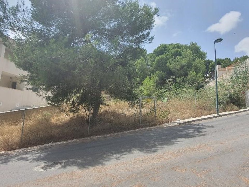 Helårsgrund i Pinar De Campoverde, Alicante - foto 3